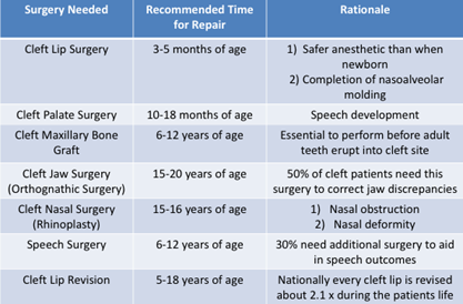 A 3-column table describing the timeline for cleft palate surgery types